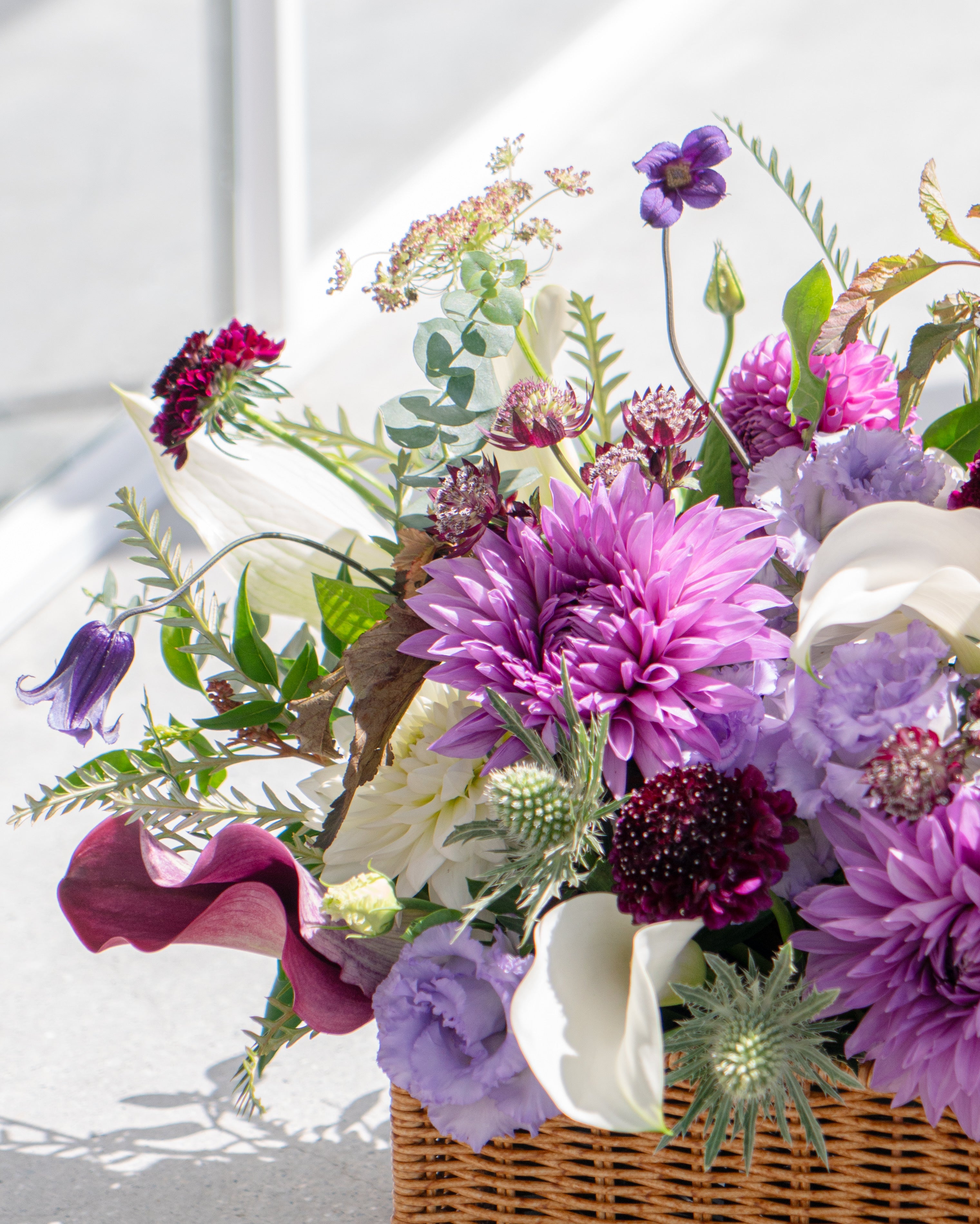 【11/30着・1点限定】テクニックアンドセオリー(送料無料)