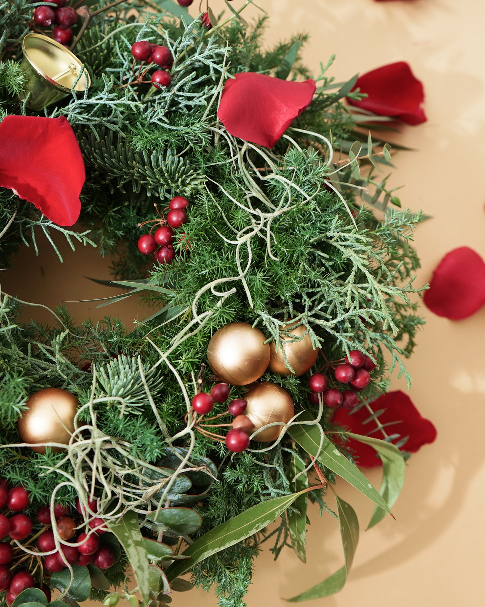 【12/19着・1点限定】タイムレスハーモニー（送料無料）