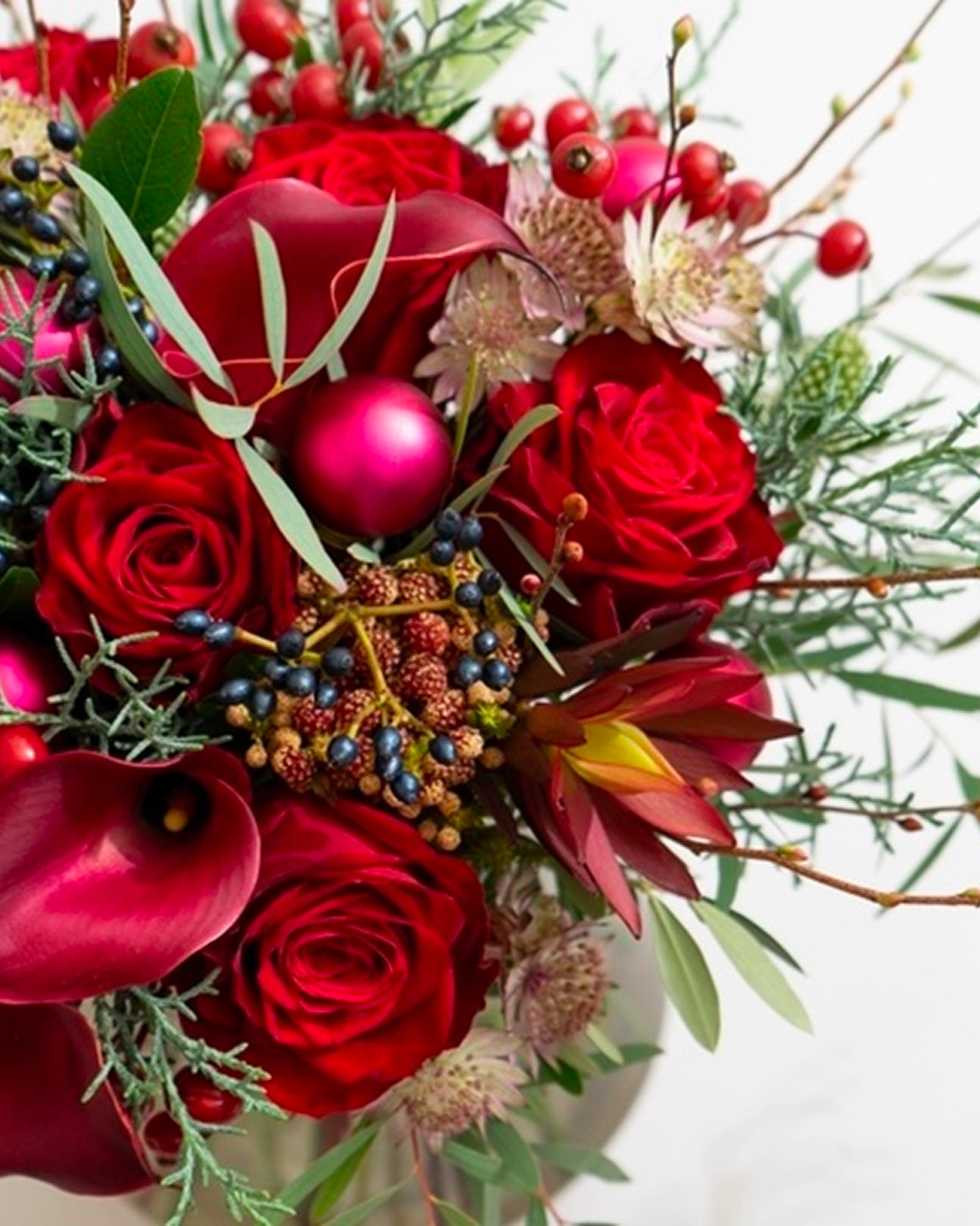 【12/21着・1点限定】ホリデーレッドトーンズ（送料無料）