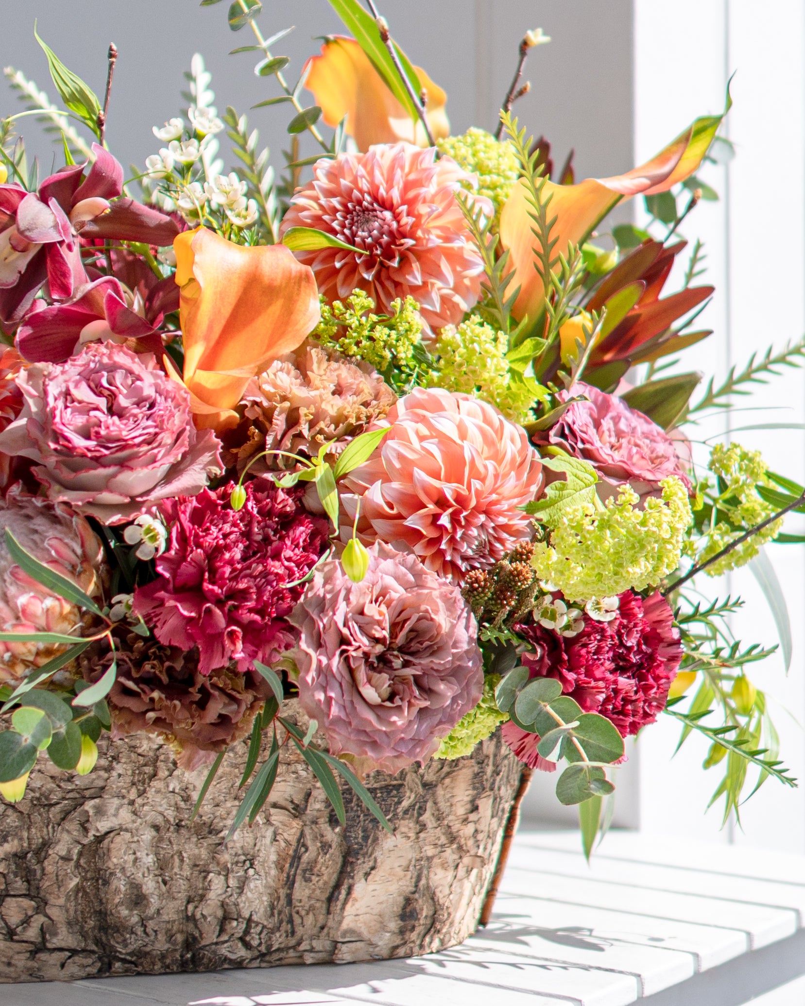 【11/30着・1点限定】テクニックアンドセオリー（送料無料）