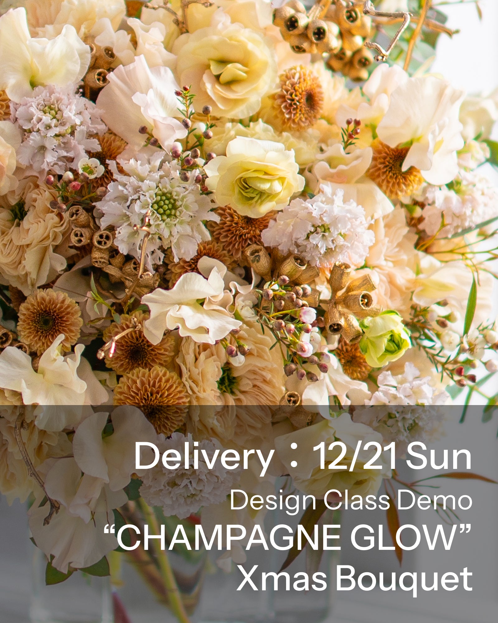 【12/21着・1点限定】シャンパングロウ（送料無料）