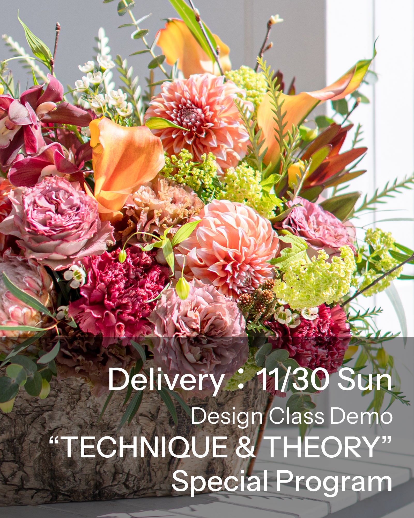 【11/30着・1点限定】テクニックアンドセオリー（送料無料）