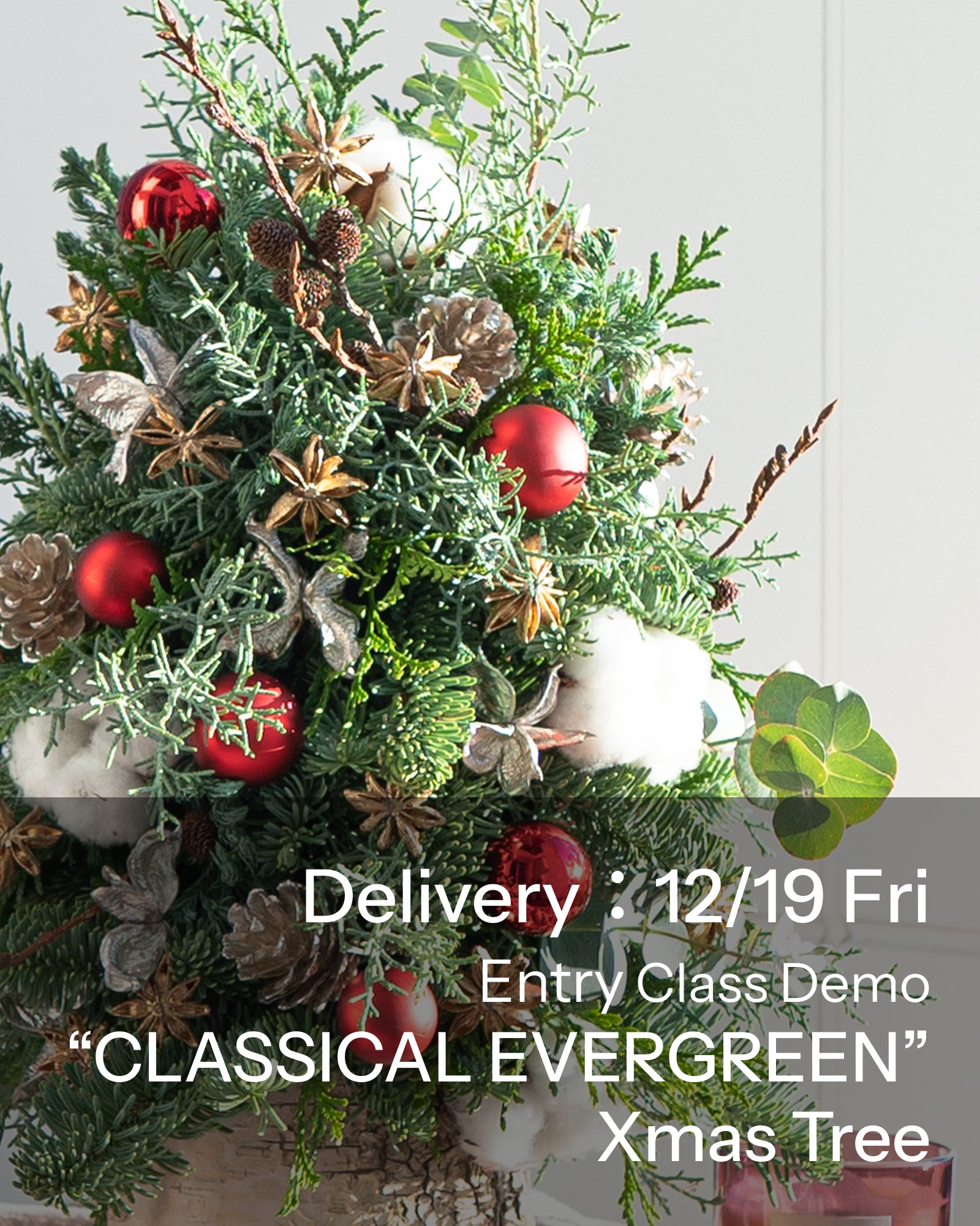 【12/19着・1点限定】クラシカルエバーグリーン（送料無料）