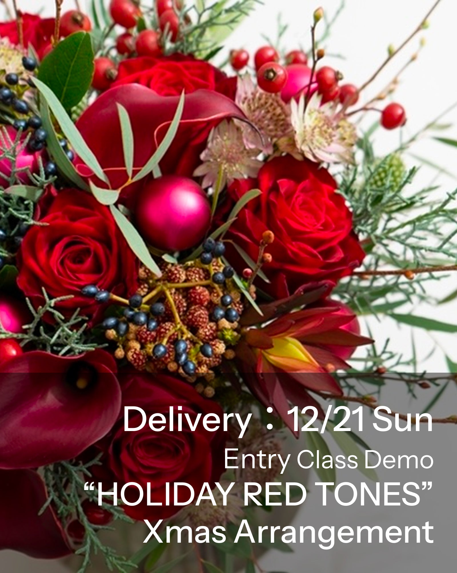 【12/21着・1点限定】ホリデーレッドトーンズ（送料無料）