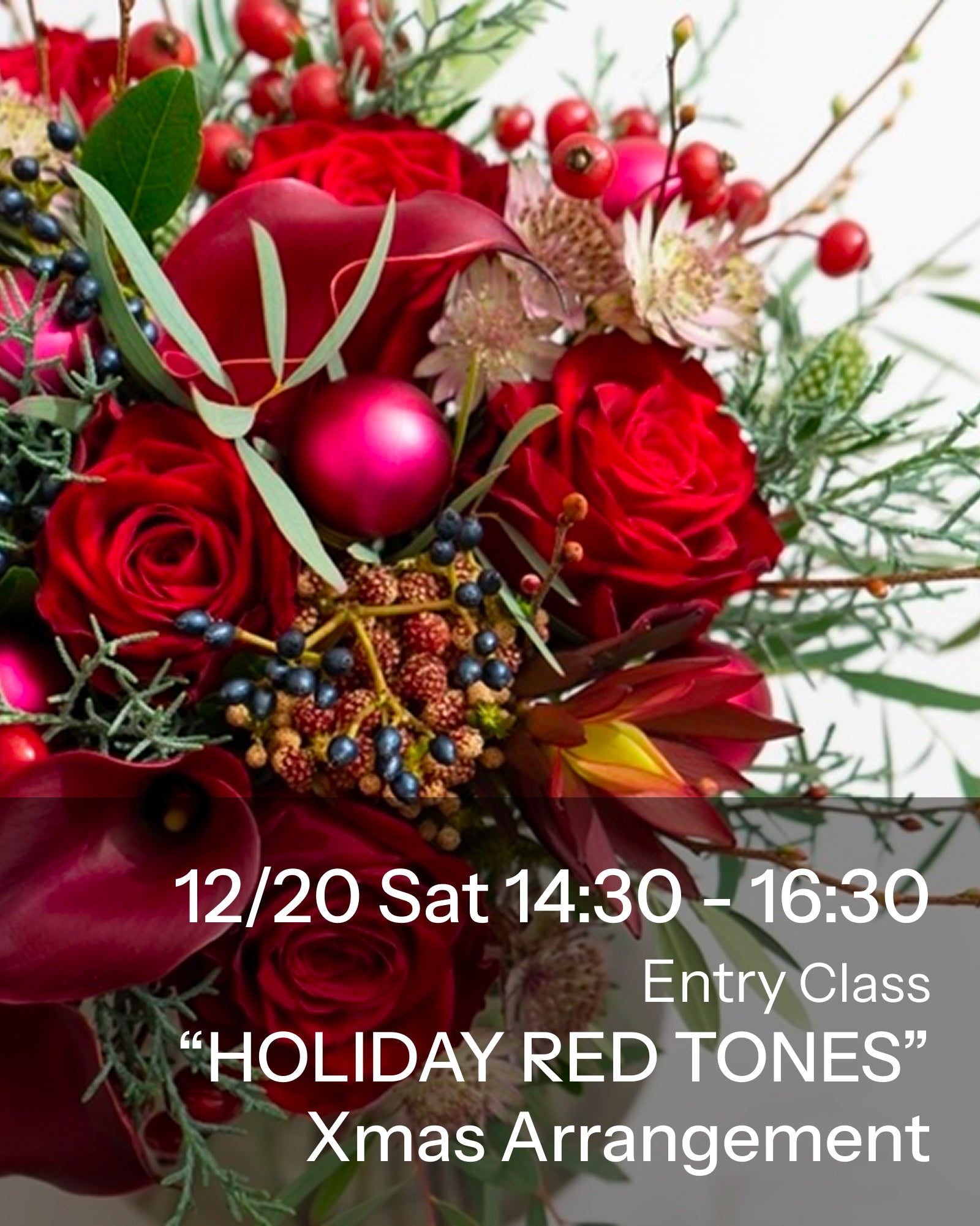 ホリデーレッドトーンズ